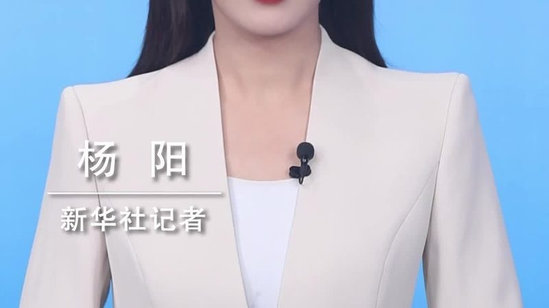 成都电商平台技术外包开发：揭秘定制化解决方案之道